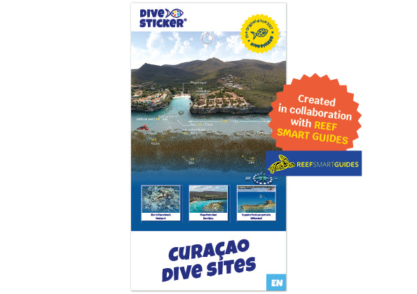 Curacao dive sites - Tauchplatz-Führer