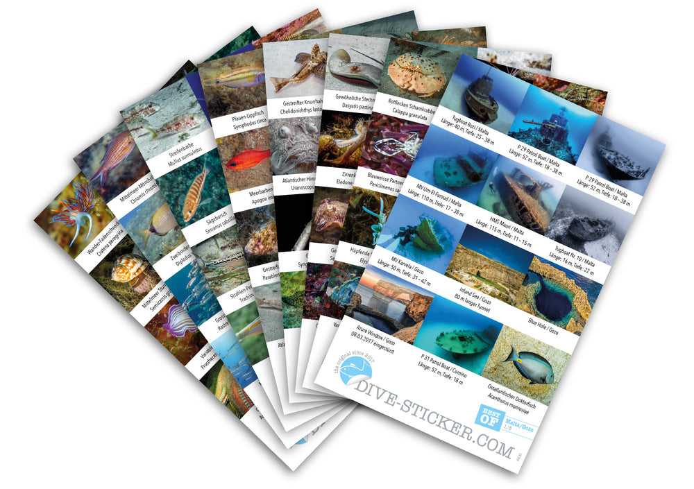 Gozo Sticker Making Malta / Gozo – Dive Sticker